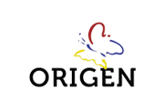 Origen